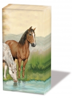 Taschentücher - Horses