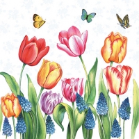 Servietten 25x25 cm - Tulips & Muscari
