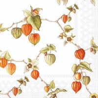 Servietten 25x25 cm - Lampion