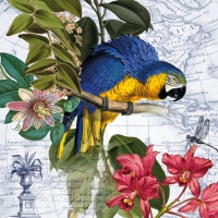 Servietten 25x25 cm - Ara Servietten 25x25 cm - Ara