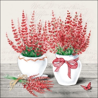 Servietten 33x33 cm - Erica