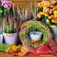 Servietten 33x33 cm - Autumn Feeling