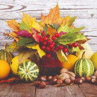 Servietten 33x33 cm - Fall Bouquet