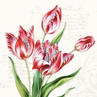 Servietten 33x33 cm - Classic Tulips