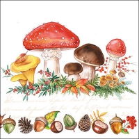 Servietten 33x33 cm - Mushrooms