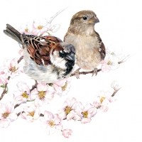 Servietten 33x33 cm - Sparrows Blossom