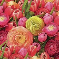 Servietten 33x33 cm - Ranunculus