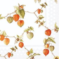 Servietten 33x33 cm - Lampion