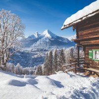 Servietten 33x33 cm - Mountain