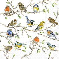 Servietten 33x33 cm - Birds Meeting Servietten 33x33 cm - Birds Meeting