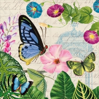 Servietten 33x33 cm - Romantic Pure Servietten 33x33 cm - Romantic Pure