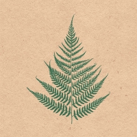 Servietten 33x33 cm - Fern Leave Servietten 33x33 cm - Fern Leave