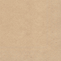 Servietten 33x33 cm - Uni FSC Recyled 100% Servietten 33x33 cm - Uni FSC Recyled 100%