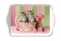 Tablett - Cats in Box Tablett - Cats in Box