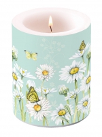 Dekorkerze - Daisy Green Dekorkerze - Daisy Green