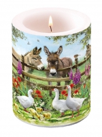 Dekorkerze - Meeting Point Dekorkerze - Meeting Point