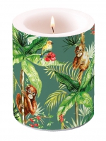 Dekorkerze - Orangutan Green Dekorkerze - Orangutan Green