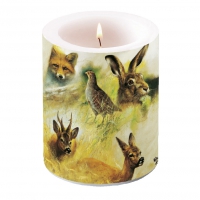 Dekorkerze - Wild Animals Collage Dekorkerze - Wild Animals Collage