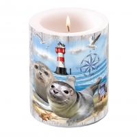 Dekorkerze - Seal Couple Dekorkerze - Seal Couple