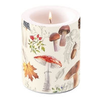 Dekorkerze - Autumn Nature