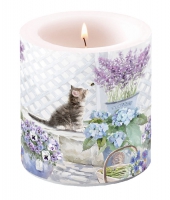 Dekorkerze klein - Kitten Dekorkerze klein - Kitten