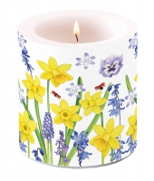 Dekorkerze klein - Narcissus Love