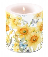 Dekorkerze klein - Classic Daffodils Dekorkerze klein - Classic Daffodils