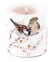 Dekorkerze klein - Sparrows Blossom Dekorkerze klein - Sparrows Blossom