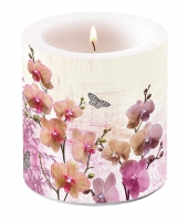 Dekorkerze klein - Orchids Orient Dekorkerze klein - Orchids Orient