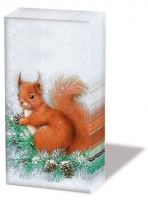 Taschentücher - Squirrel On Tree