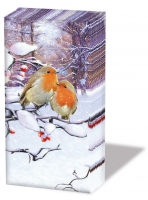 Taschentücher - Robins On Branch Taschentücher - Robins On Branch