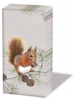 Taschentücher - Squirrel In Winter Taschentücher - Squirrel In Winter