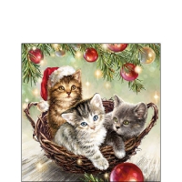 Servietten 25x25 cm - Cats In Basket