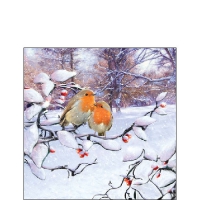 Servietten 25x25 cm - Robins On Branch