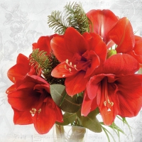 Servietten 25x25 cm - Amaryllis