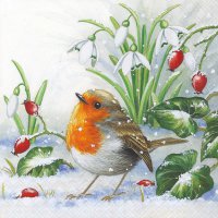 Servietten 33x33 cm - Robin