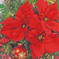 Servietten 33x33 cm - Red Poinsettia