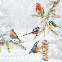 Servietten 33x33 cm - All Together