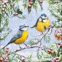 Servietten 33x33 cm - Chirping Birds 