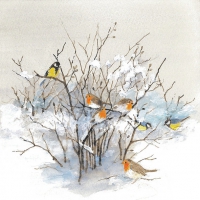 Servietten 33x33 cm - Birds On Branches