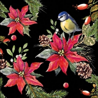 Servietten 33x33 cm - Bird On Poinsettia Black