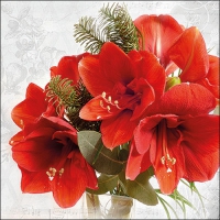 Servietten 33x33 cm - Amaryllis