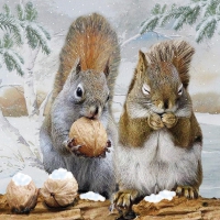 Servietten 33x33 cm - Tasty Meal