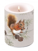 Dekorkerze - Squirrel In Winter