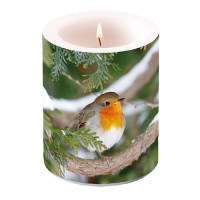 Dekorkerze - Robin In Tree Dekorkerze - Robin In Tree