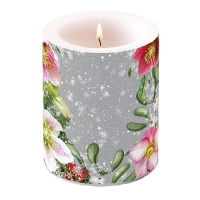 Dekorkerze - Helleborus Orientalis Grey