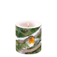 Dekorkerze klein - Robin In Tree Dekorkerze klein - Robin In Tree