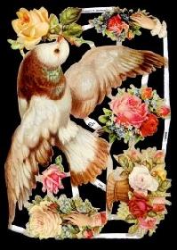 Glanzbilder - große Taube mit Blumen Glanzbilder - große Taube mit Blumen