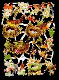 Glanzbilder - Vogelnester Glanzbilder - Vogelnester