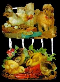 Glanzbilder - Hund mit Küken Glanzbilder - Hund mit Küken